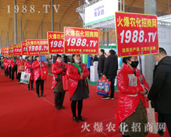 2019��30�úӱ�ֲ���������r���WҊ�C�ИI(y��)ʢ���ل�(chu��ng)�ѿ���