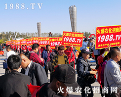 ���r(n��ng)�����̾W(w��ng)ʢ�b����2019��ʮ�����L��ֲ������