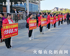 2019�|����ʡֲ���������r(n��ng)�����̾W(w��ng)����������