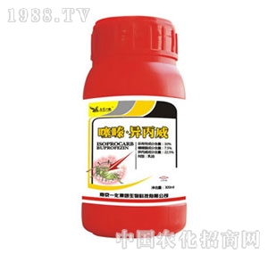 �Ͼ�һ��-��ຮ�����