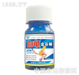 ��������-��Ȱ�