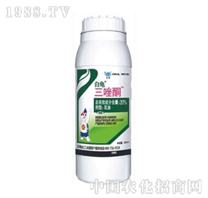 ����-����ͪ