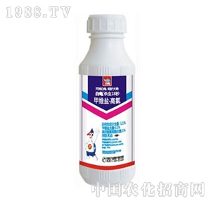 ����-���x18��