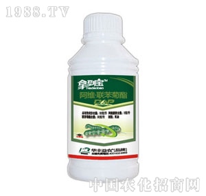 �A�S���r-�õ���