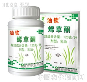 �S���r(n��ng)��-ϩ��ͪ