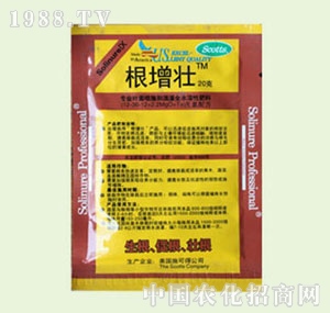 �̴T�S-������