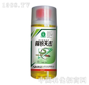 ɽ�|��Ԫ-������