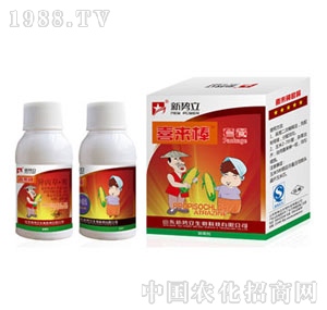 ����-ϲ�����M���ײ�