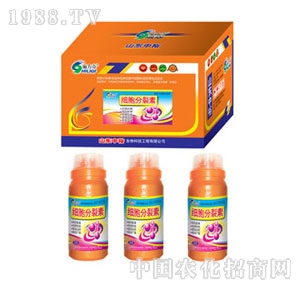 ��ԣ����-����������