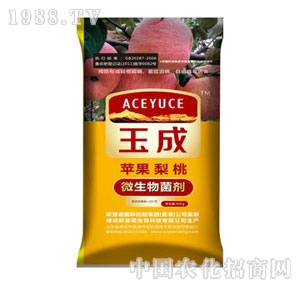 ���΢����������O�����ң�