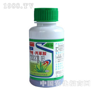 �Sɽ-���ݰ��S�׻�¡