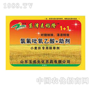 �������-�ȷ���������1+1