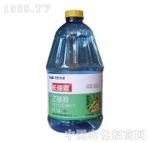 �I�r(n��ng)�Ƽ�-�L(zh��ng)��˼