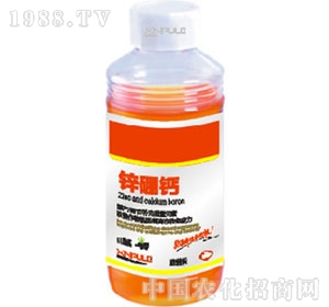 ���՘�-�\���}