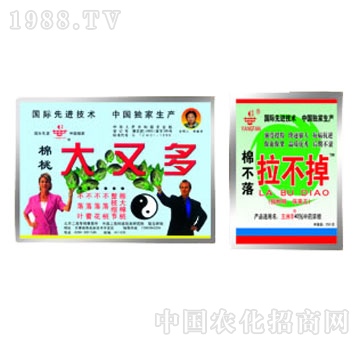 ��������-���ֶ�