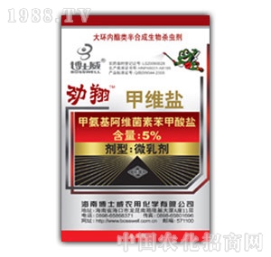 ��ʿ��-����