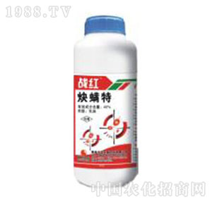 �Gɫ�r�A-��(zh��n)�t