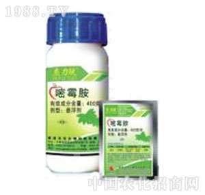 �Gɫ�r(n��ng)�A-����Ó