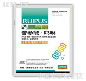 ������-�����A����