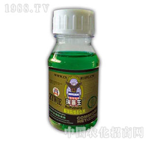 ������-���������ɫ��