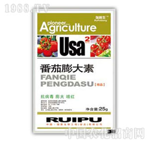 ������-���������