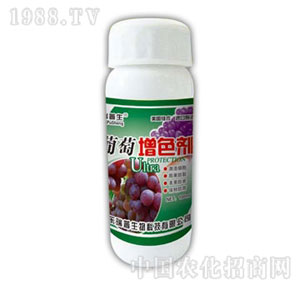 ������-������ɫ��