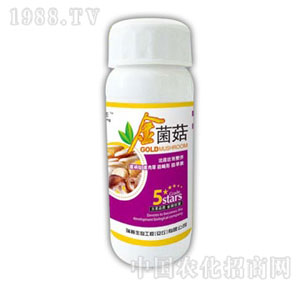 ������-�����