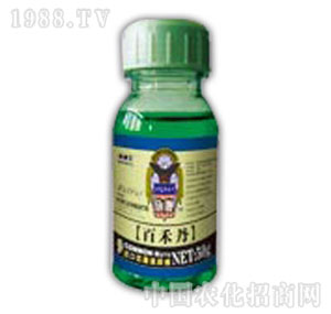 ������-�ٺ̵�