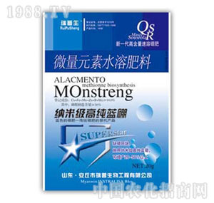 ������-�{�׼��߼��{(l��n)��