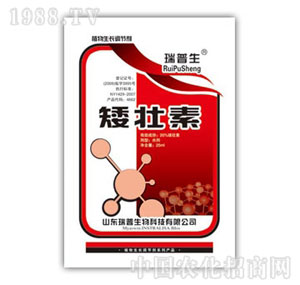 ������-������