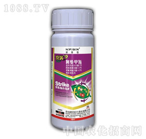 �Z����-����