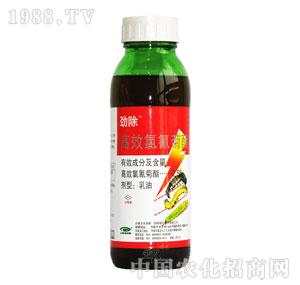 �G���-�ų�