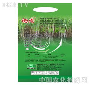 �G���-�z��