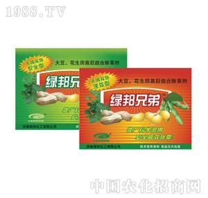 �G���-�G���ֵܣ��͡��ͣ�