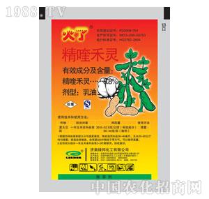 �G���-����