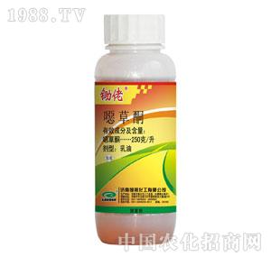 �G���-�z�Їf��ͪ