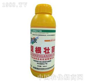 ��(j��)�r(n��ng)-�ٸ�����