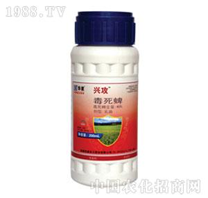 �A��-40%������EC���d����