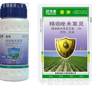 �A��-10%���f��̲��`EC���Ճ���