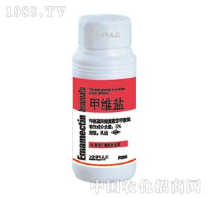 ���՘�-5%�׾S�}