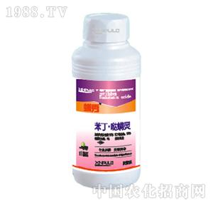 ���՘�-�����}���`