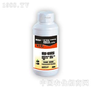 ���՘�-��������ͪ