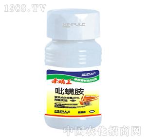 ���՘�-���S����