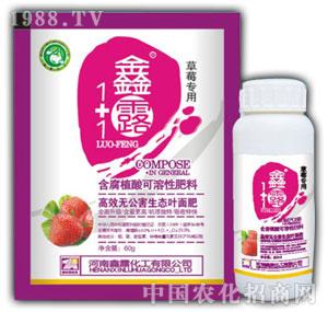 ��¶-��¶1+1��ݮ��(zhu��n)��