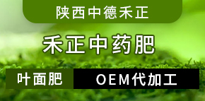 ����еº�������Ƽ����޹�˾