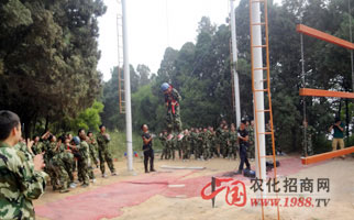 �𱬾W(w��ng)�j(lu��)��չӖ��֮�߿Ք���