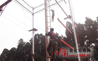 �𱬾W(w��ng)�j(lu��)��չӖ��֮�߿Ք���