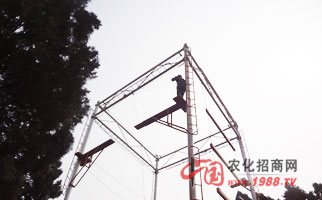 �𱬾W(w��ng)�j(lu��)��չӖ��֮�߿Ք���