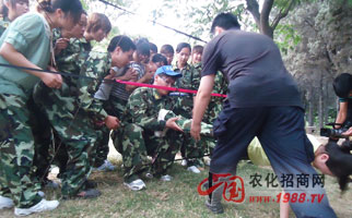 �𱬾W(w��ng)�j(lu��)��չӖ��֮����늾W(w��ng)